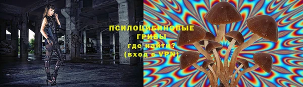 ПСИЛОЦИБИНОВЫЕ ГРИБЫ Верея